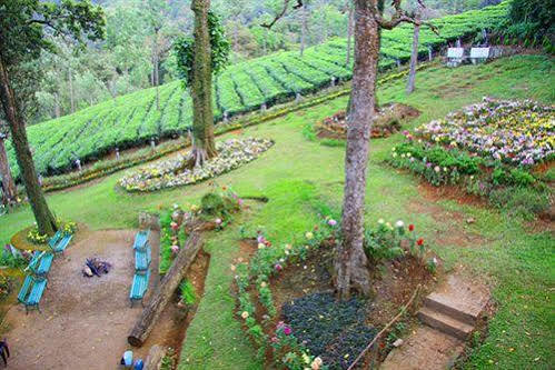 Oak Field Resort Munnar Extérieur photo