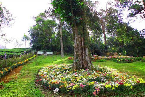 Oak Field Resort Munnar Extérieur photo